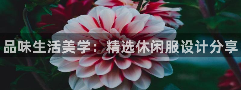 乐发平台app