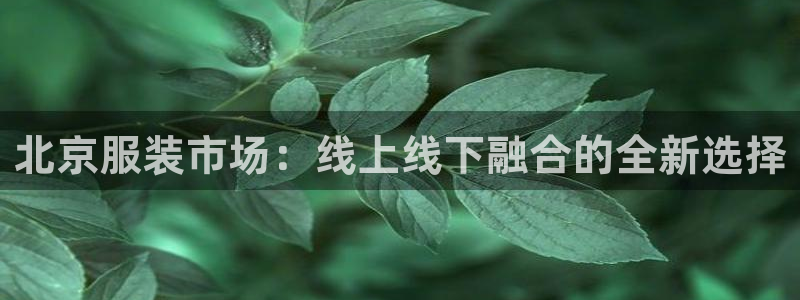 乐发宾果彩票平台