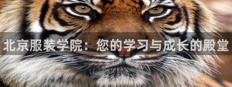 乐发x这个平台靠谱吗