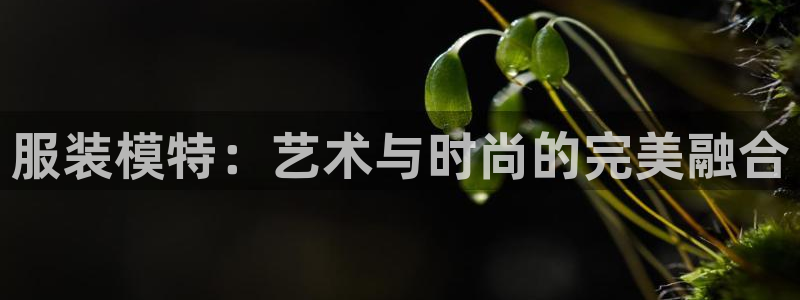 宾果彩票平台乐发
