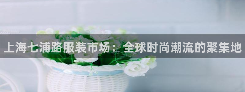 乐发平台今天咋打不开