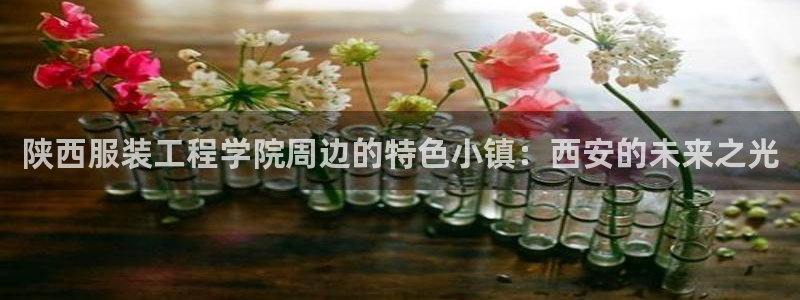 乐发第一娱乐平台邀请码