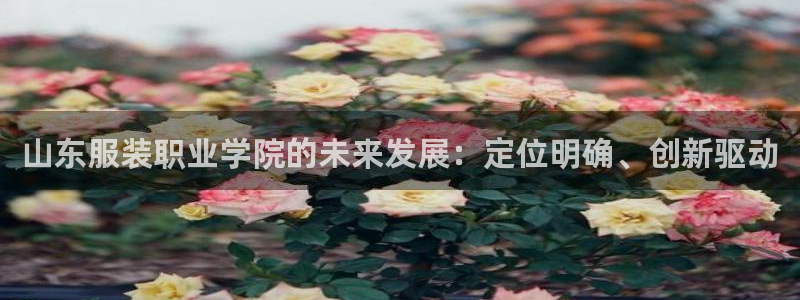 乐发平台app下载安装官网