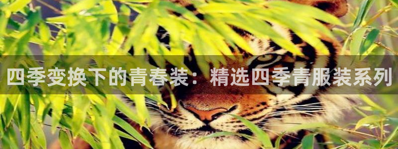 乐发彩票平台可信不