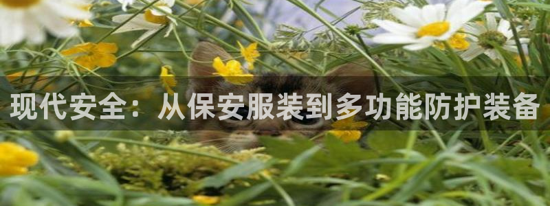 乐赚发圈平台有风险嘛