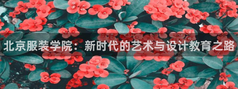 类似乐发传媒的平台
