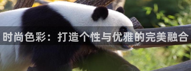 乐发彩票vll平台