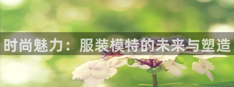 类似乐发传媒的平台