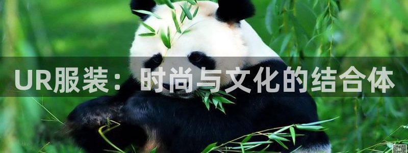 乐发体育平台