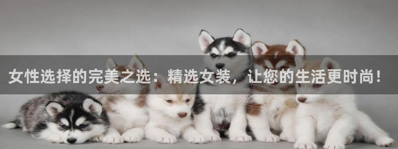 乐发l官方平台