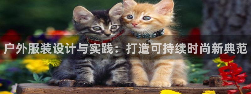 大发云系统彩票平台乐发