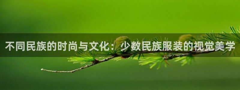 乐发体育平台官网下载