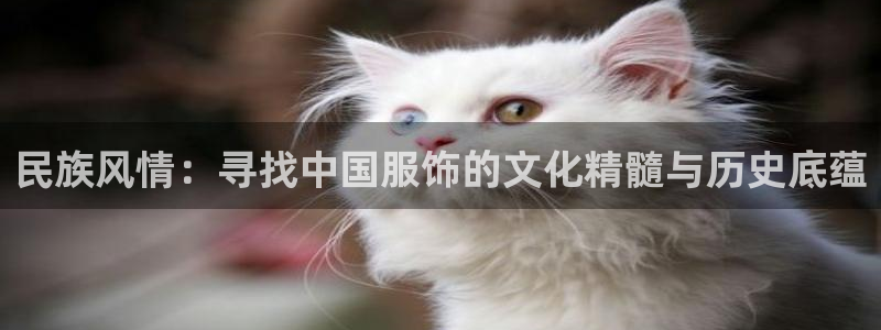 乐发平台今天咋打不开