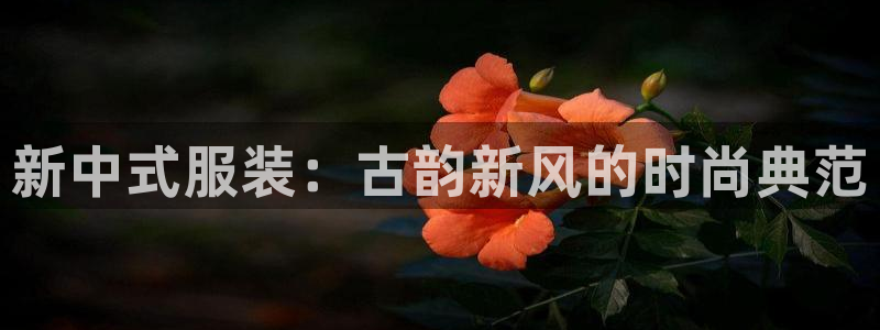 乐发平台注册流程