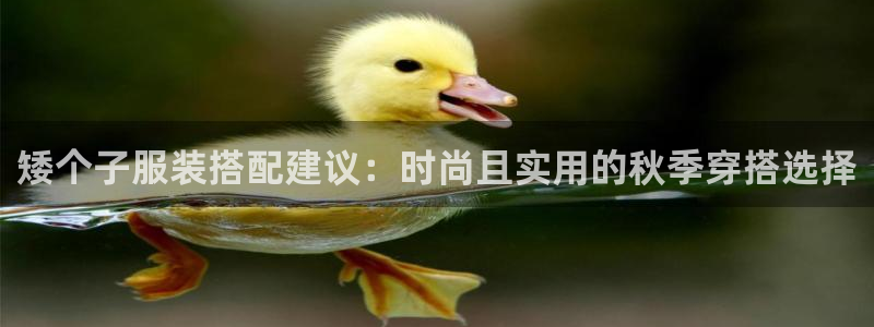 乐发彩票平台下载