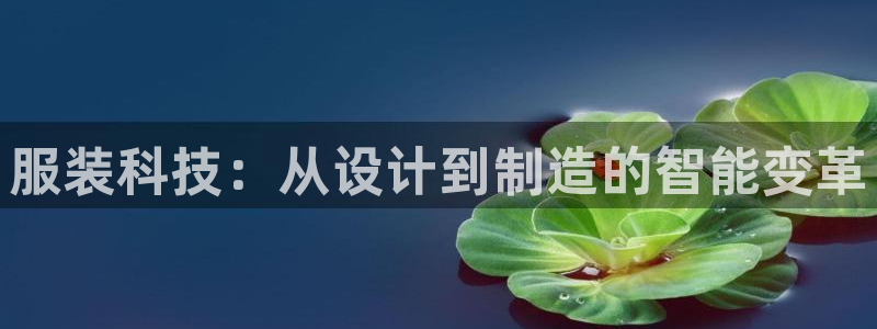 乐发国际平台怎么样