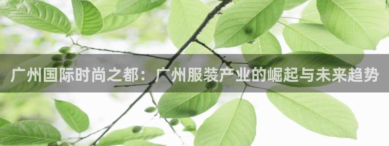 乐发平台下载安装最新版