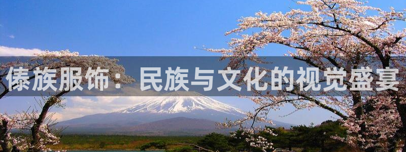 乐发彩票vll平台