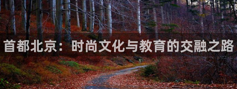 乐发III平台最新版本更新内容