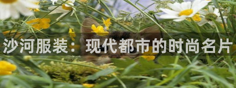 乐发传媒平台是查封了吗