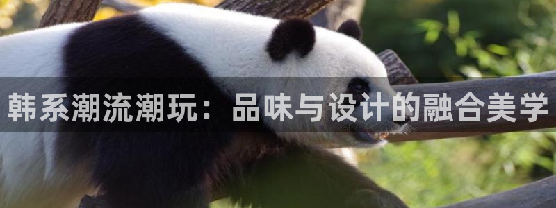 乐发平台怎么样知乎