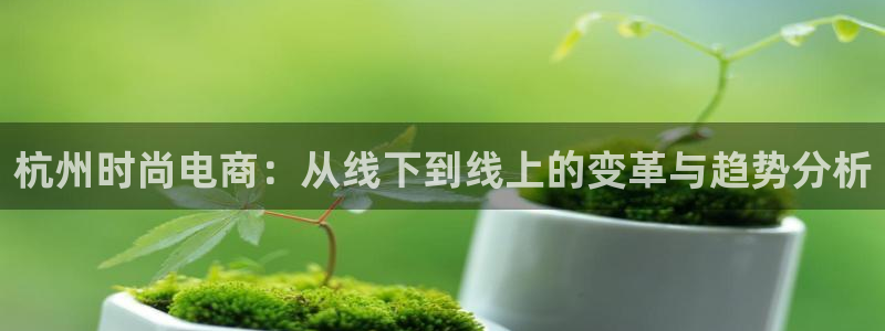 乐发平台邀请码全网最高