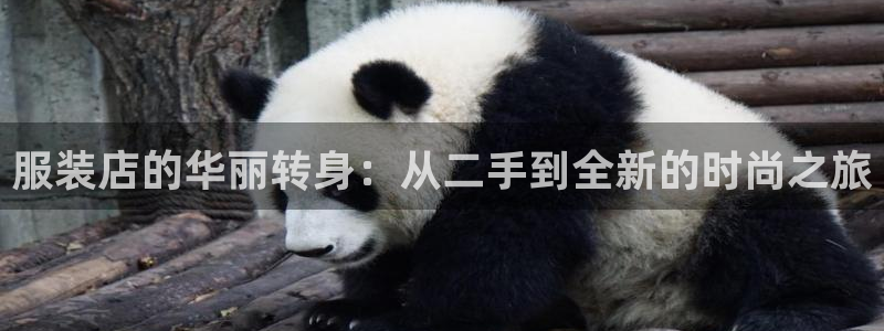 乐发天天娱乐平台注册