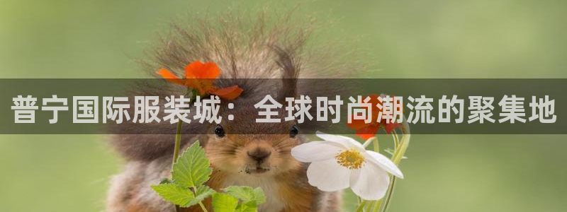 乐彩轩平台指尖发