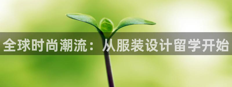 乐发平台今天咋打不开