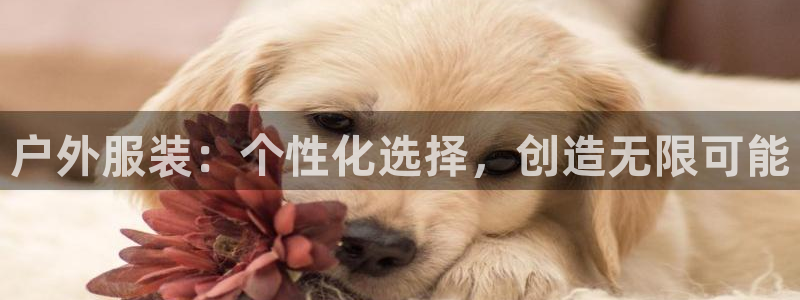 乐发平台下载官网