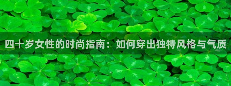 宾果彩票平台乐发